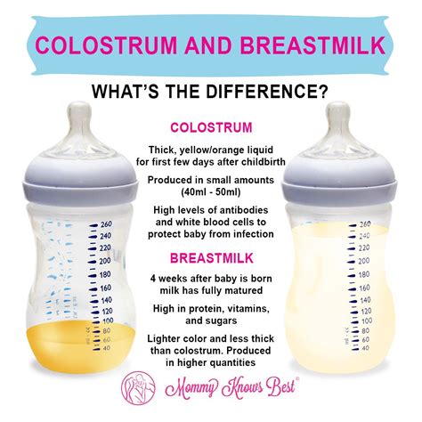 How to express colostrum before birth why you should – Artofit