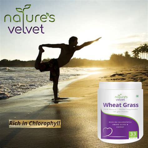 Wheat Grass Powder - Rich in Chlorophyll, Amino Acids & Energy - 100 G ...