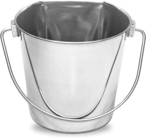Amazon.com: AASPIRE PETS Heavy Duty Stainless Steel Flat Side Bucket 9 ...