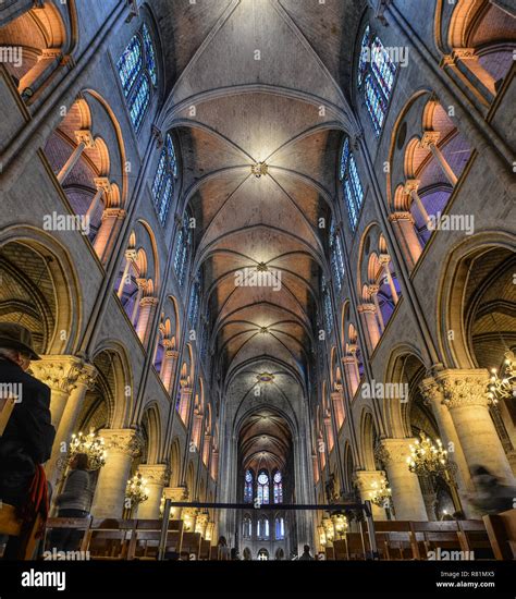 Notre Dame Cathedral Architecture Facts at Cheryl Franklin blog