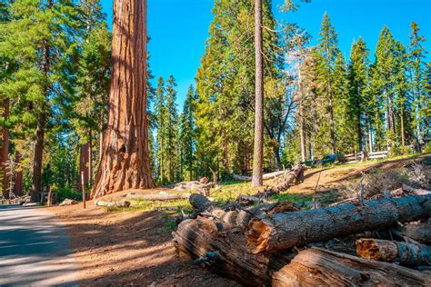 17 Interesting Unknown Facts About Wyoming - The Kanso