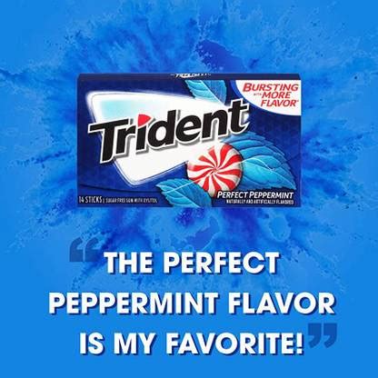 Mondelez Trident Refreshingly Long Lasting (IMPORTED FROM USA) Perfect ...