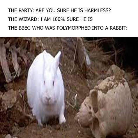 Image result for Monty Python Rabbit Meme