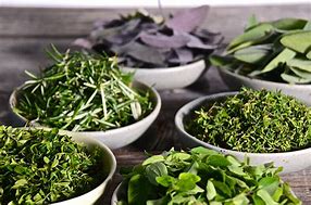 Image result for Herbs