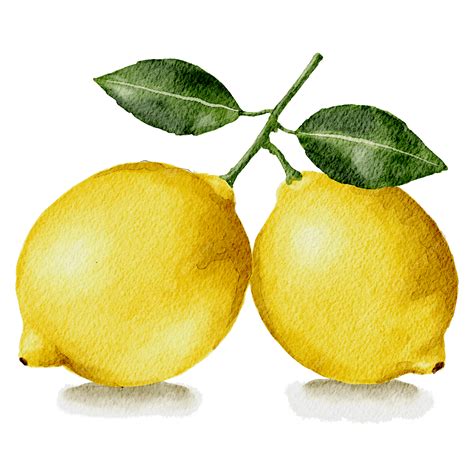Lemon Watercolor Painting, Lemon, Watercolor, Painting PNG Transparent ...