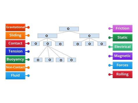 Forces 的图像结果