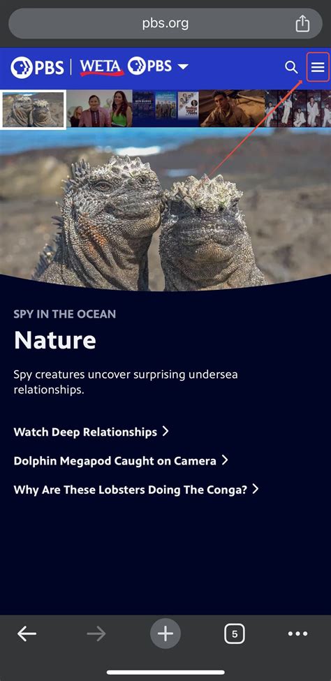 PBS TV Programs 的图像结果