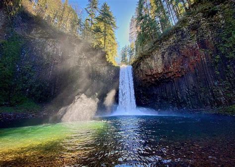 Photos of Abiqua Falls Trail Oregon | AllTrails | Trail, Oregon, Waterfall