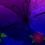 Image result for Purple Butterfly Bunny