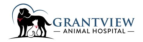 About Our Animal Hospital in St. Louis, Missouri