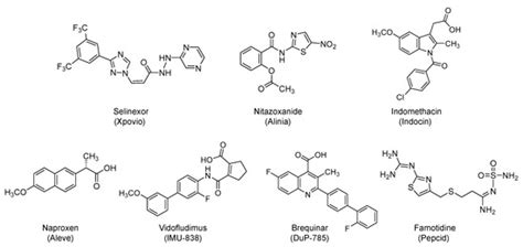 Potential Anti-SARS-CoV-2 Therapeutics That Target the Post-Entry ...