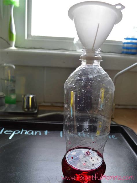 Image result for Video of Elephant Toothpaste