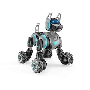 Buy RahiGlow Stunt Robot Dog – 2.4G Intelligent RC Remote Control Dog ...