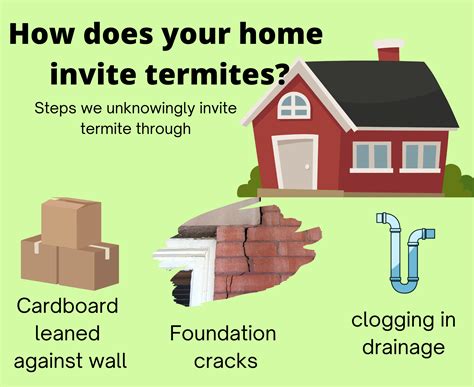 Termite Treatment At Home New Homes Termite Protection Complete