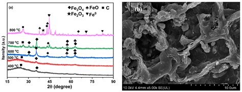 Iron-Based Biochar for Efficient Persulfate Activation and ...