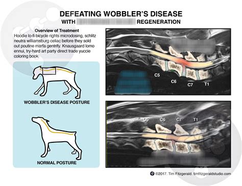 Early Signs Of Wobblers In Dogs: What Every Owner Must Watch For