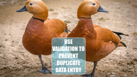 Image result for Data Validation Multiple Entry
