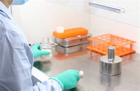 细胞实验外包,细胞实验外包简单介绍,细胞实验外包特点-上海剑钝生物科技有限公司