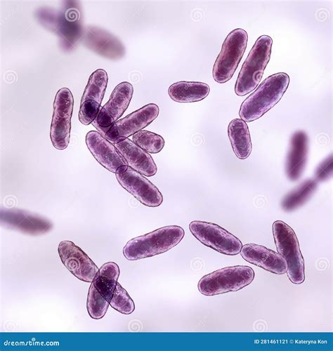 Aeromonas Bacteria, 3D Illustration Stock Illustration - Illustration of antibiotic, resistance ...