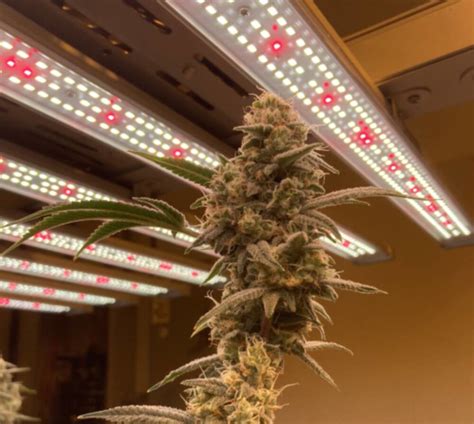 Image result for LED Light Remote Not Working