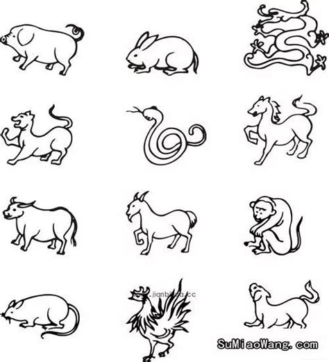 12生肖简笔画丑牛(十二生肖里面的丑牛简笔画) | 抖兔教育