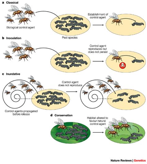 Biological Control Examples 的图像结果
