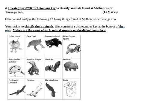 can someone please make a dichotomous key or a tabular key please if ...