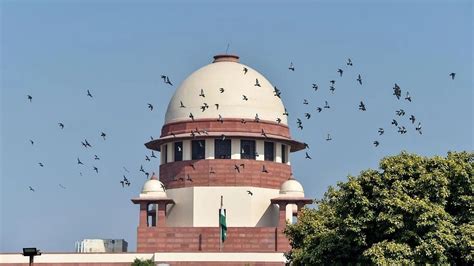 Apex Court Runs Over Bulldozer: Supreme Court Verdict Curbs Arbitrary ...
