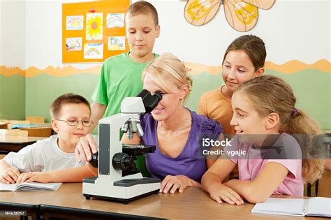Image result for How To Use A Microscope For Elementary Students