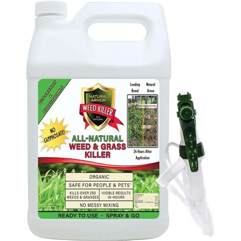7 Best Pet-Safe Weed Killers