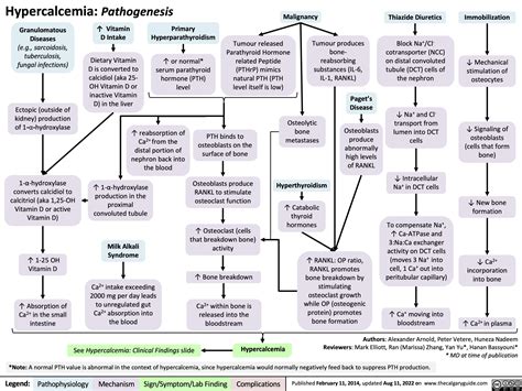 hypercalcemia-pathogenesis | Calgary GuideCalgary Guide