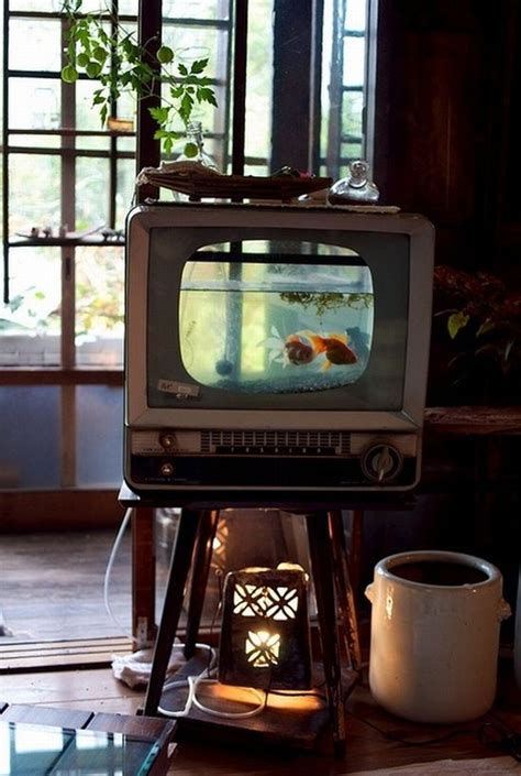 Bildergebnis für tv fish aquarium