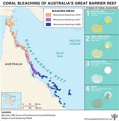 Great Barrier Reef | Map, Animals, Bleaching, & Facts | Britannica
