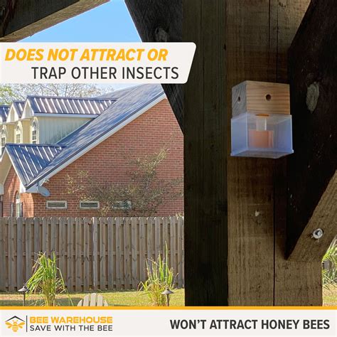 Bees N Things | Carpenter Bee Traps