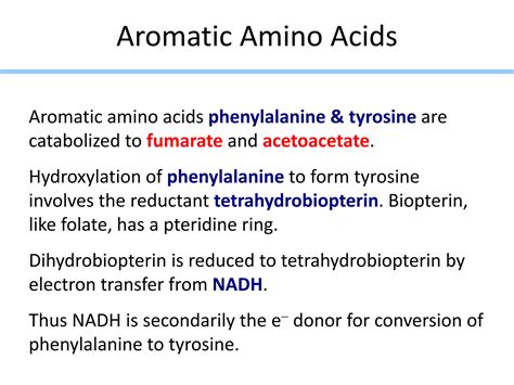 SOLUTION: 5 catabolism of aromatic and sulfur contaning amino acids iv ...