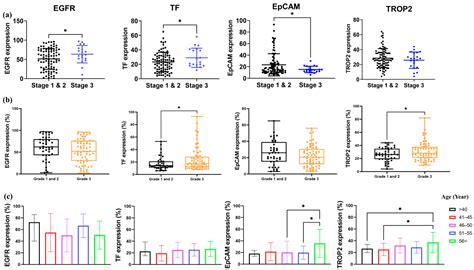 Multiplex Immunofluorescence Reveals Therapeutic Targets EGFR, EpCAM ...