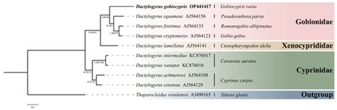 Pathogens | Special Issue : Parasitic Diseases of Fish: Identification ...