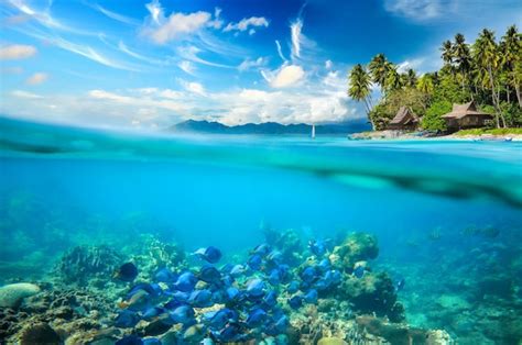 Scenery no humans outdoors cloud sky day tree ocean water blue sky ...