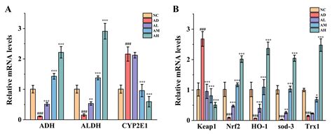 Weizmannia coagulans BC99 Attenuates Oxidative Stress Induced by Acute ...