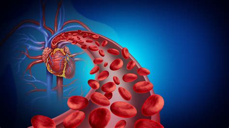 How to Use Essential Oils for Circulation and Blood Flow