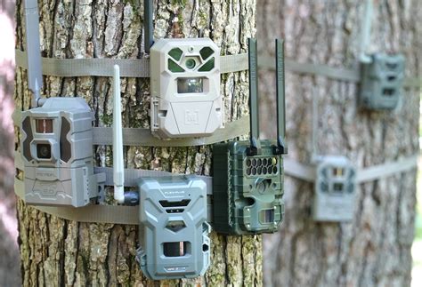 The Best Cellular Trail Cameras of 2025, Tested and Reviewed
