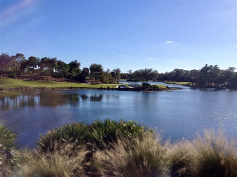Calusa Pines Golf Club - Naples Golf Guy
