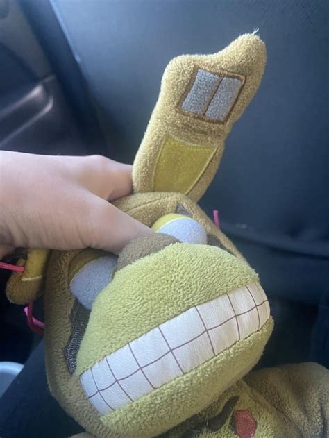 Image result for Spring Trap Real