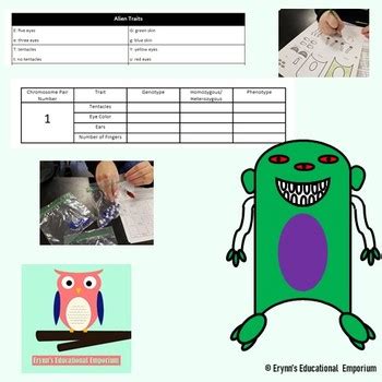 Alien Genetics Worksheet 的图像结果