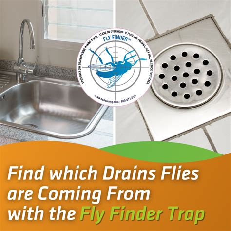 Drain and Fruit Fly Eliminator: Remove Gnats, Sewer Flies and More ...