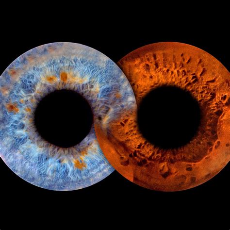 EYE CATCH PLOVDIV - IRIS PHOTOGRAPHY (2026) All You Need to Know BEFORE ...