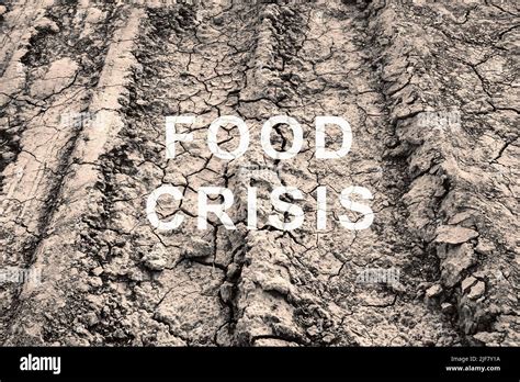 Hunger 的图像结果