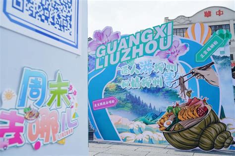 广西“33消费节”（第二季）暨“燃味广西”美食嘉年华主题活动举行_县域经济网
