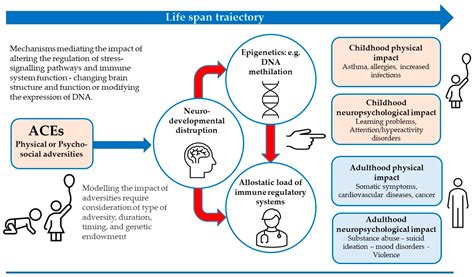 A Comprehensive Review on Multifaceted Mechanisms Involved in the ...