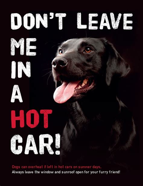 Image result for InDesign Tutorials Layout